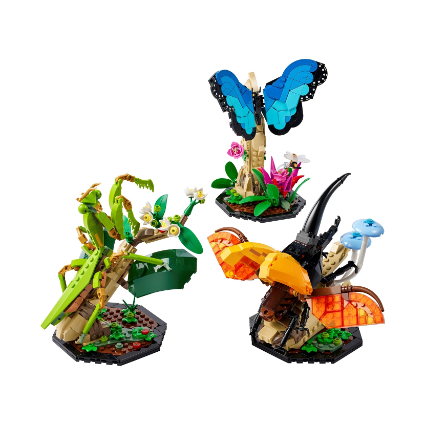 LEGO Ideas 21342 Hmyzí kolekce