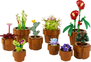 LEGO® Botanicals 10329 Miniaturní rostliny